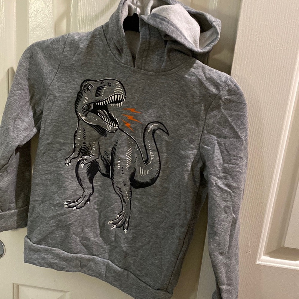 Dino hoodie